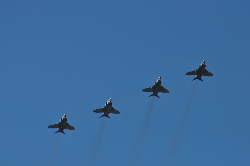 DSC_2005.jpg