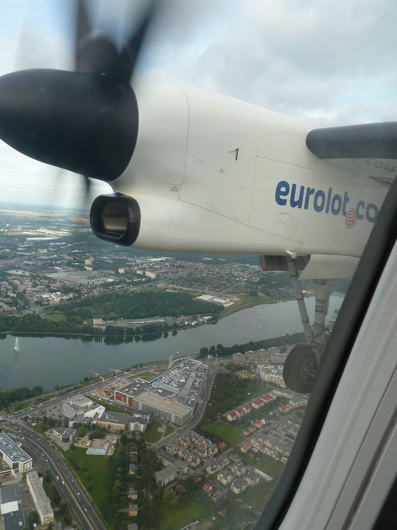 P1030371.jpg