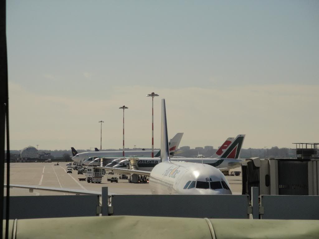 DSC01313.jpg