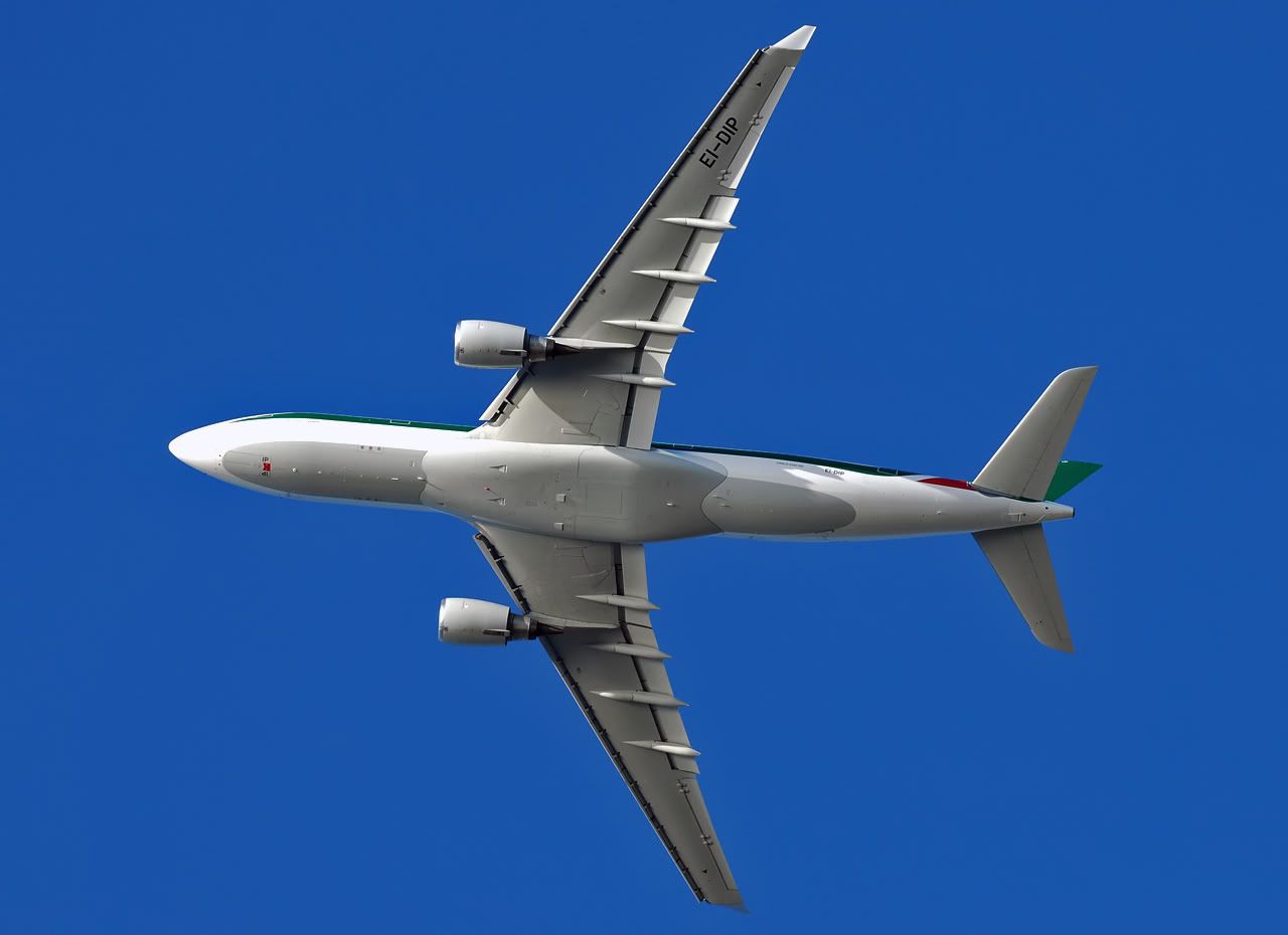 EI-DIPsotto.jpg