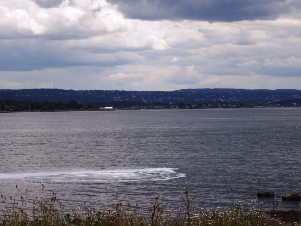 IMGP3177.jpg