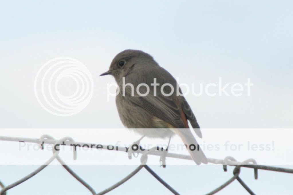 IMG_1769_1.jpg