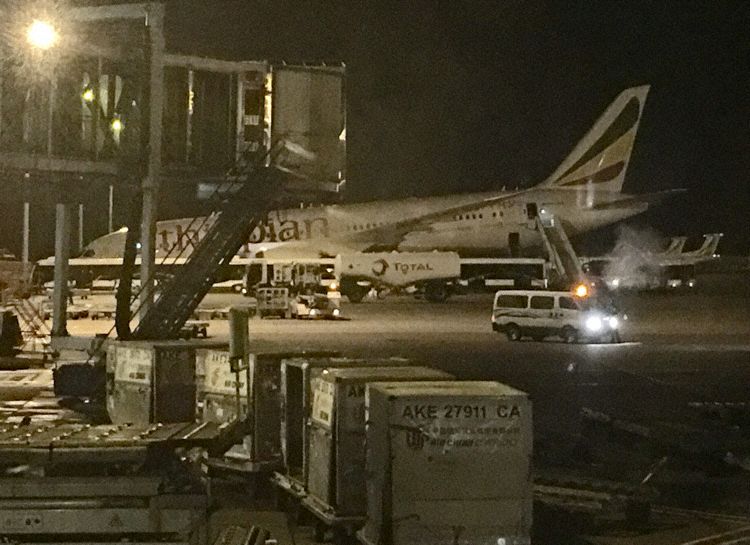 ethiopian_b788_et-ash_addis_ababa_160303_1.jpg