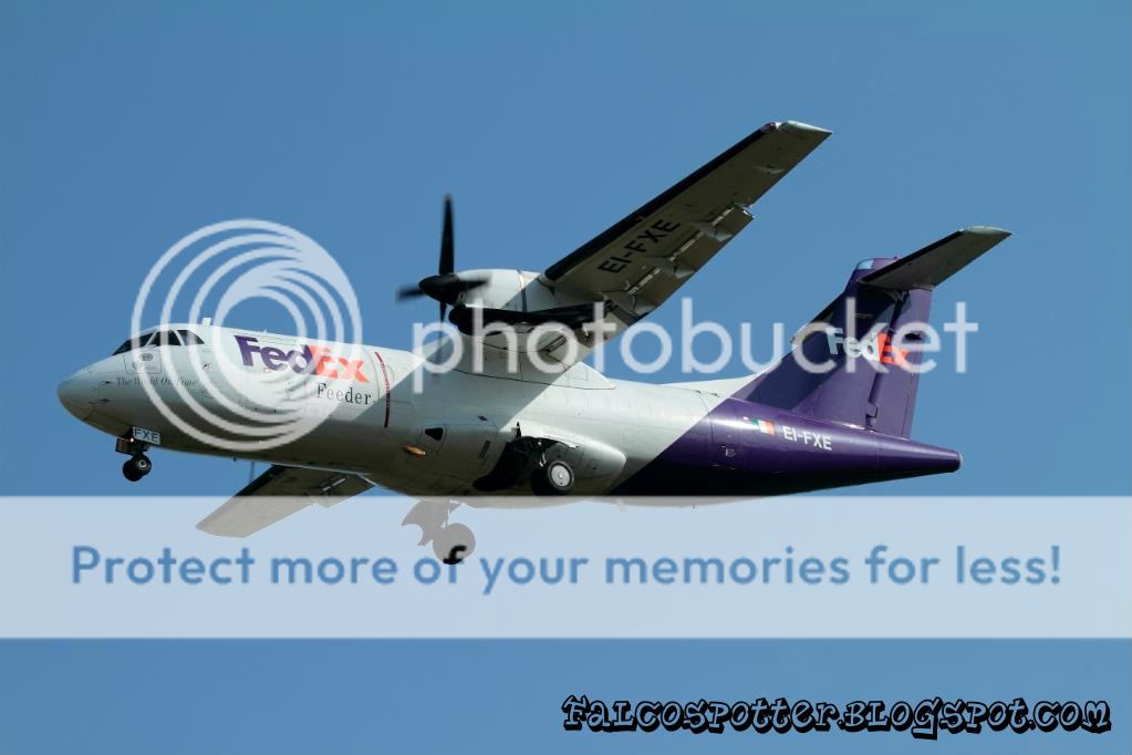 IMG_1599900.jpg