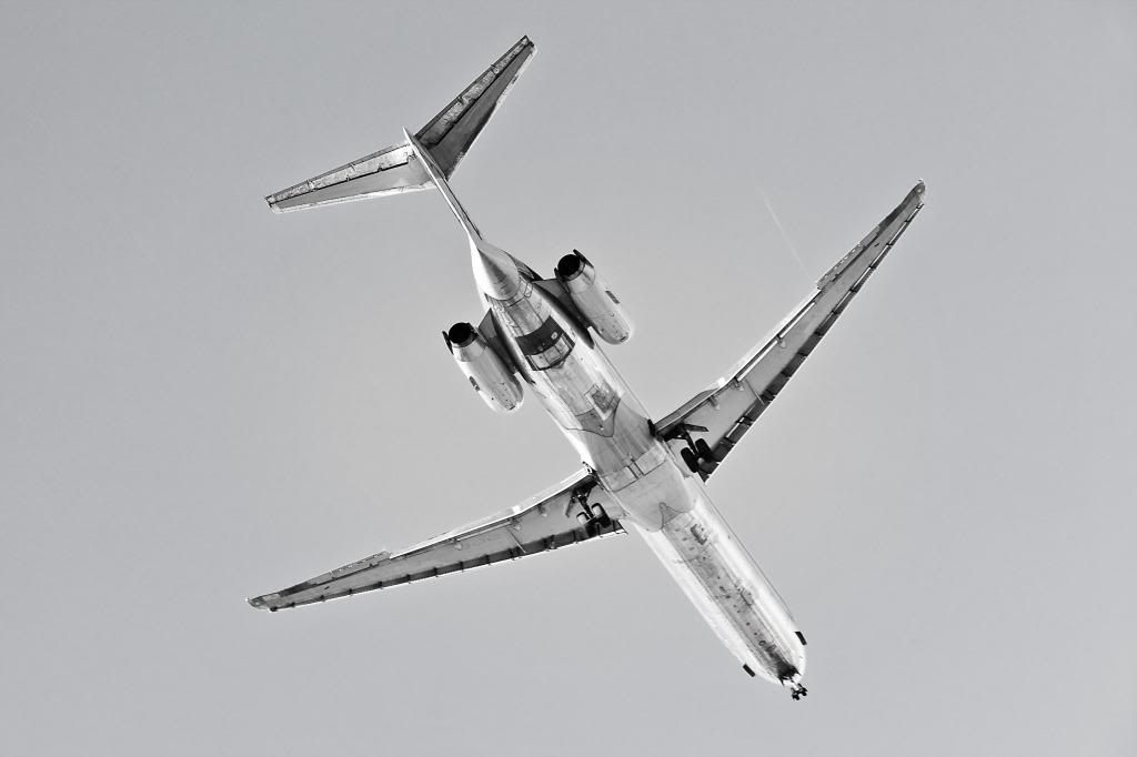 Maddog5_zps785e6b32.jpg