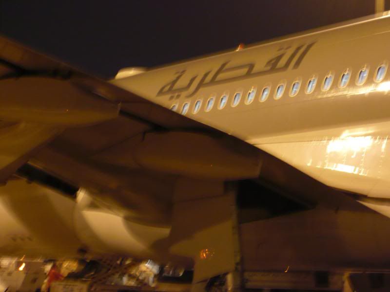 P1000265.jpg