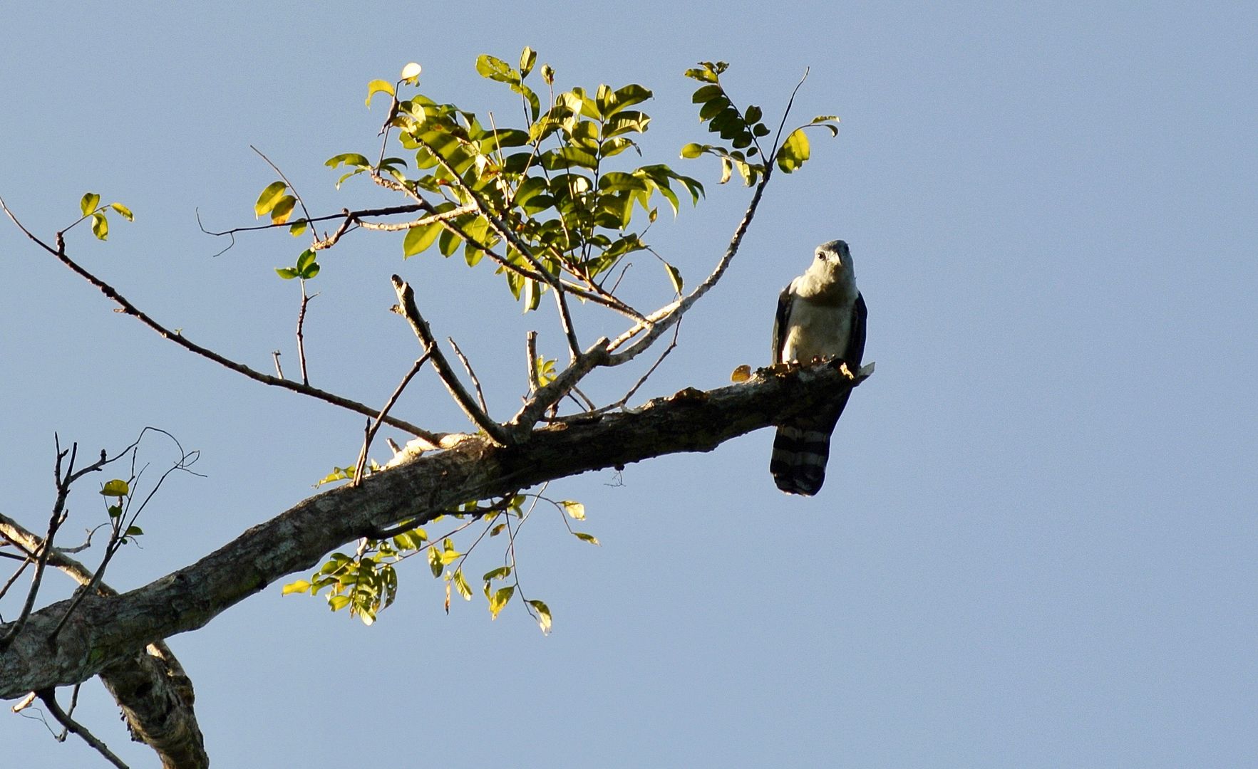 DSC_8263_zpstjtev0a4.jpg