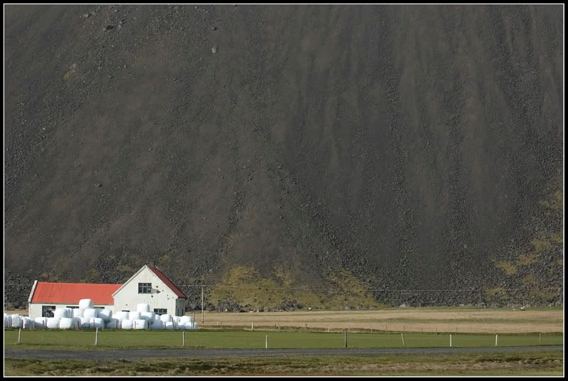 DSC_5644.jpg