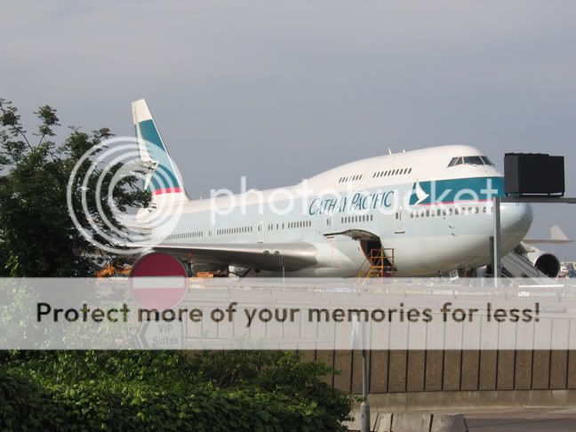 LHR_Cat.jpg