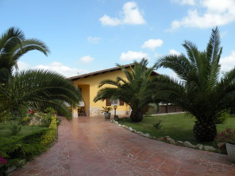 DSCN8335.jpg