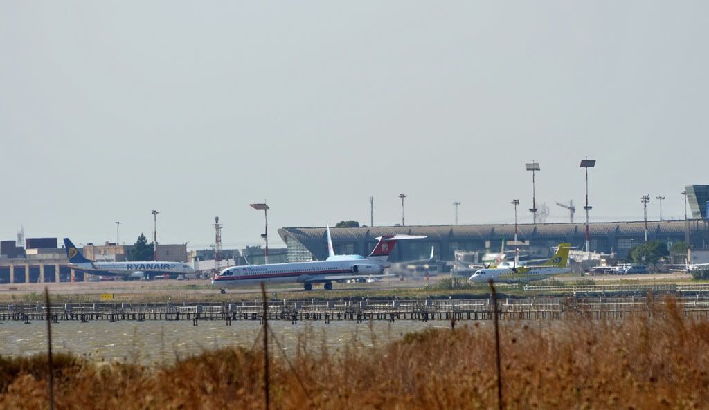 DSC_4334.jpg