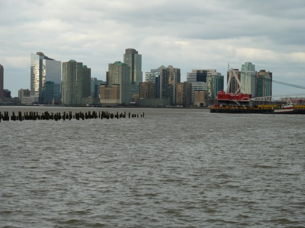 P1000346.jpg