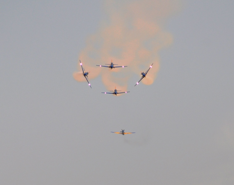 38657059691_a118752d10_o.jpg