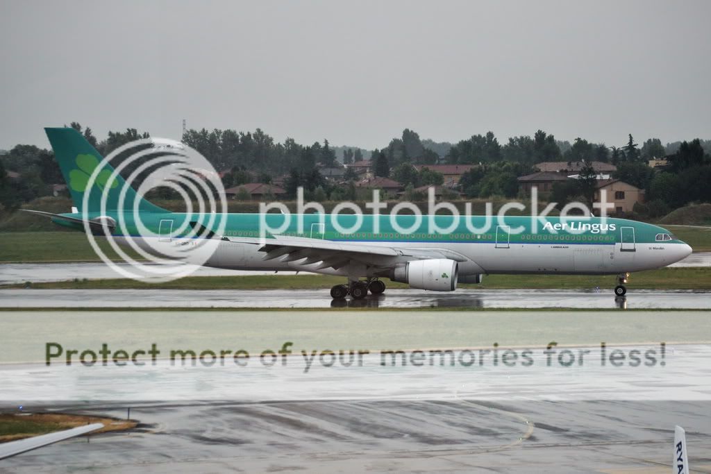 EI-ORD-B.jpg