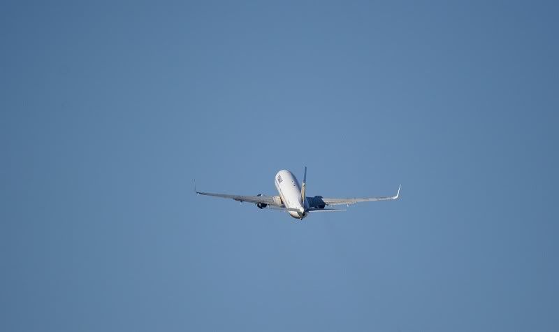 IMG_7493.jpg