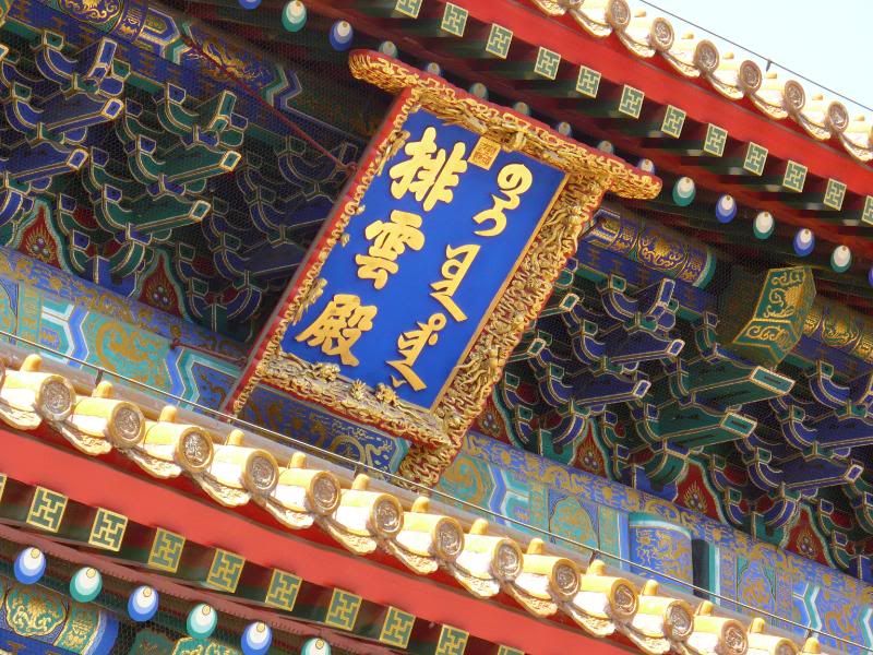 P1010846.jpg