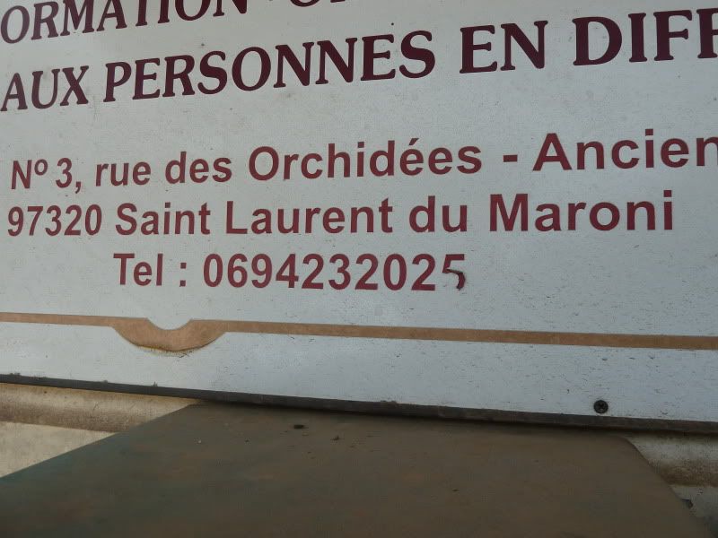 P1160181.jpg
