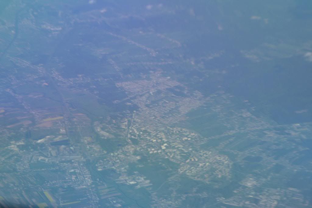 mosca38.jpg