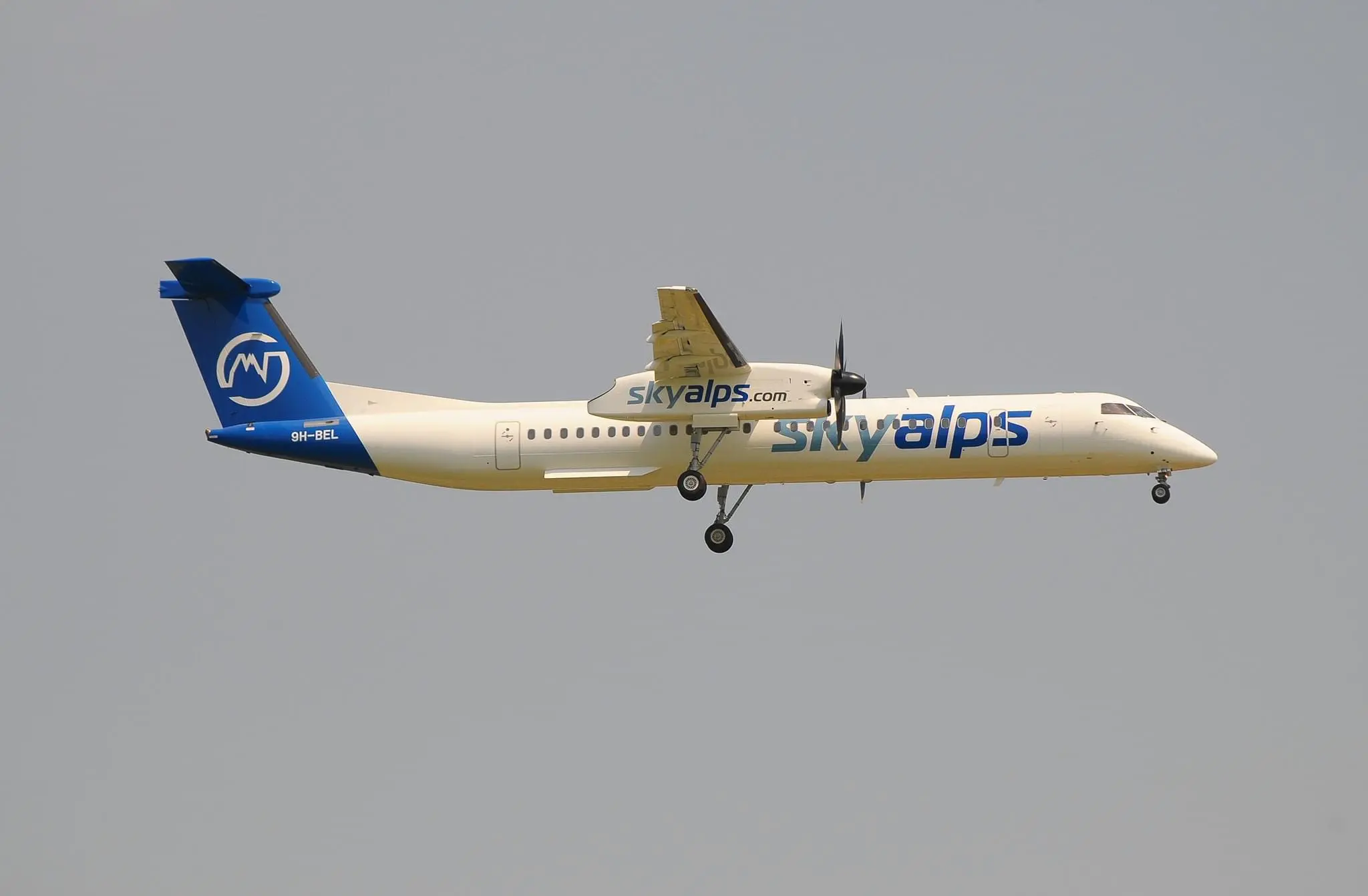 www.avionews.it