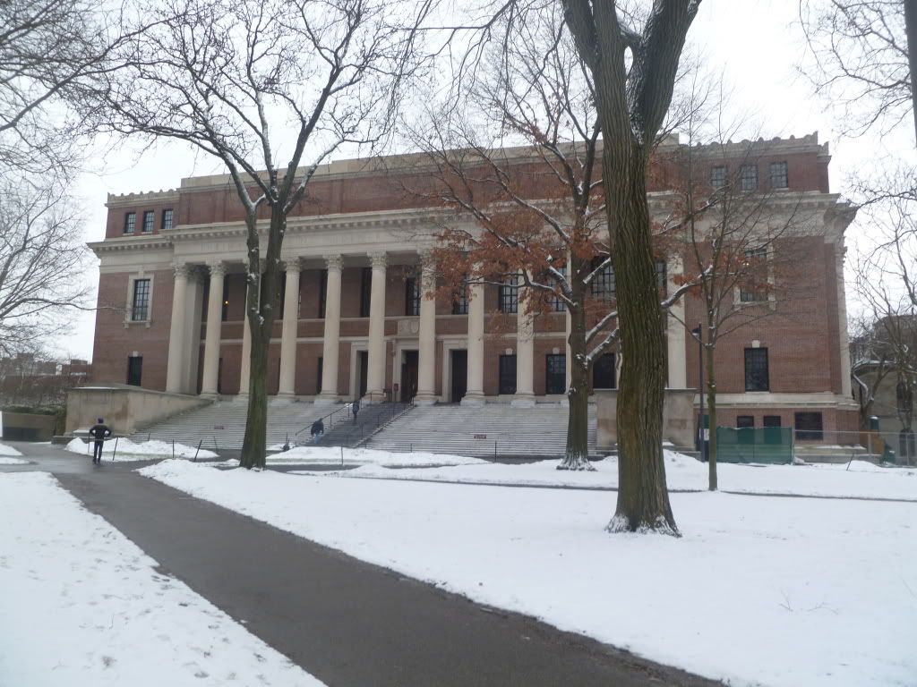 48.jpg