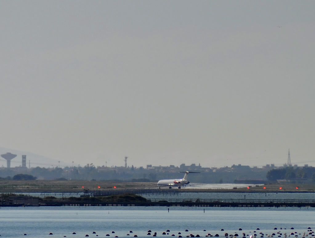 DSC_0420.jpg