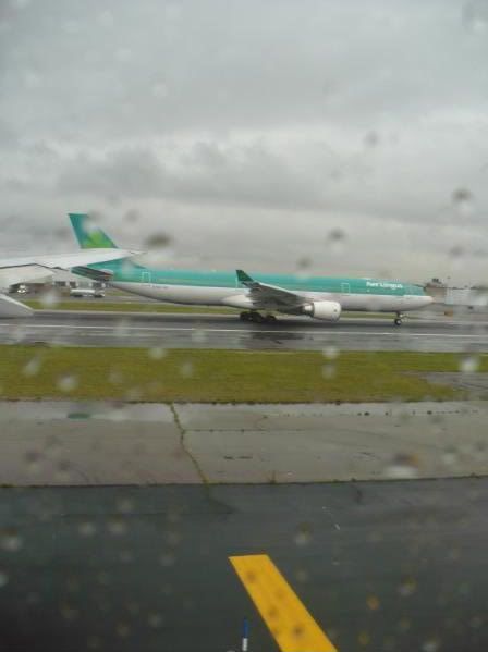 P1020150-1.jpg