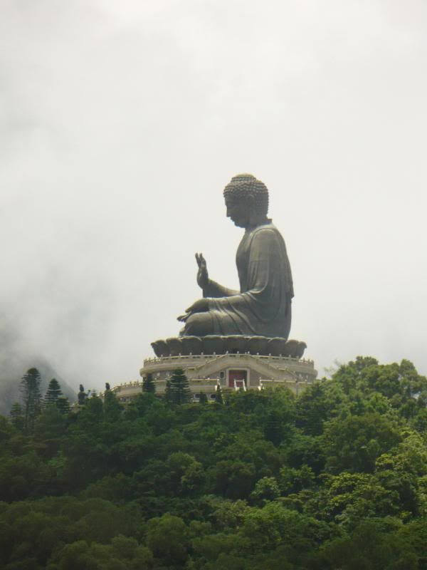 P1000546.jpg
