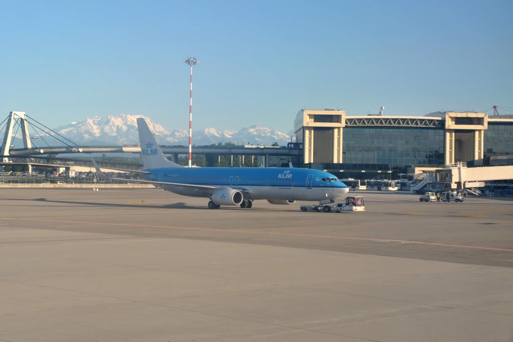 DSC_0221-1.jpg