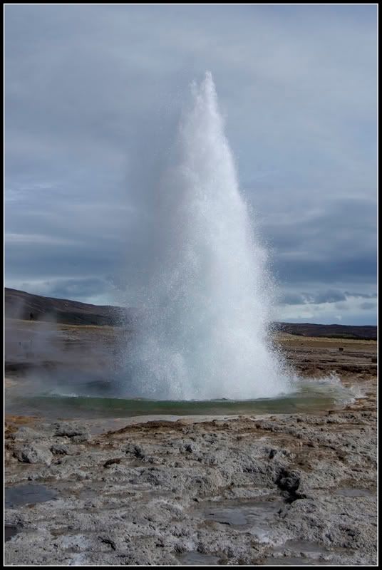 DSC_5586.jpg