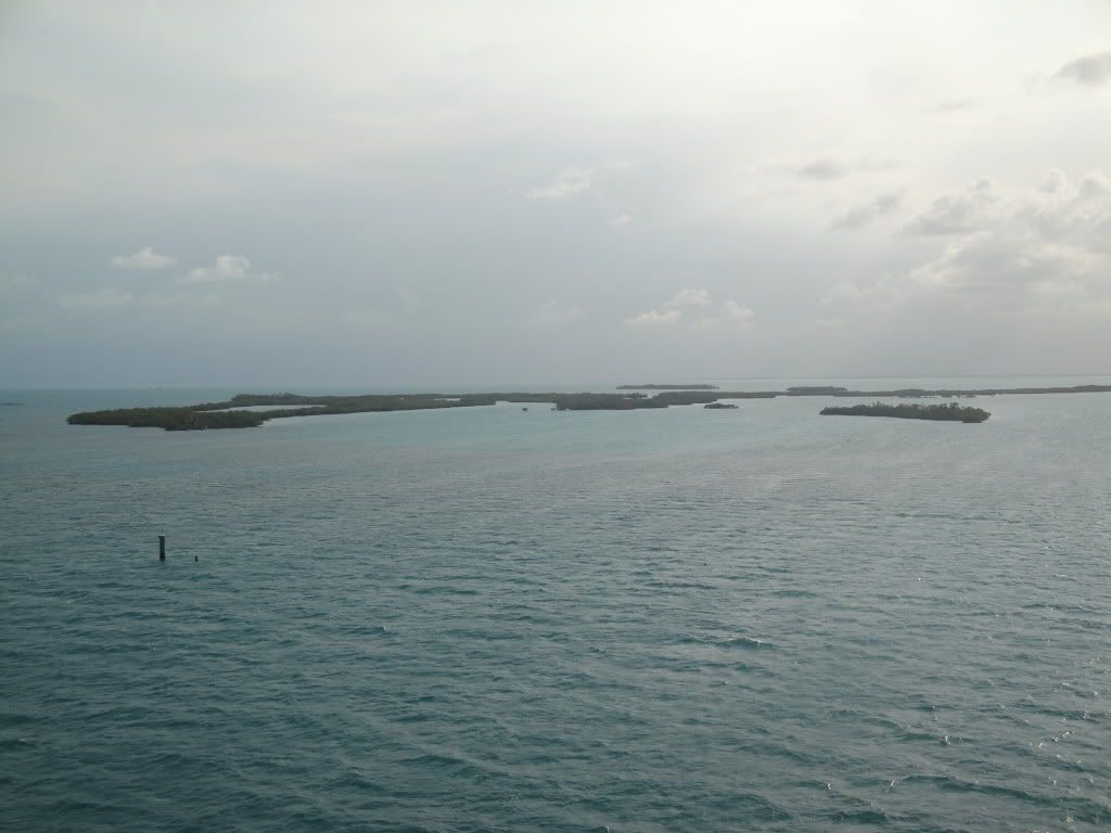 DSC05750.jpg