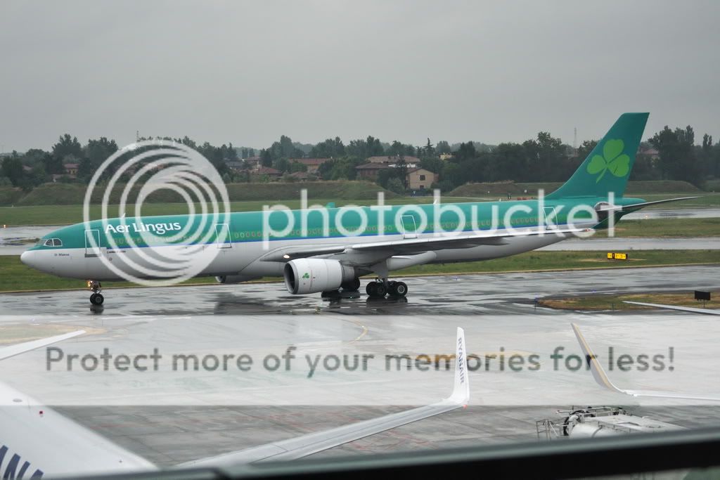 EI-ORD-D.jpg