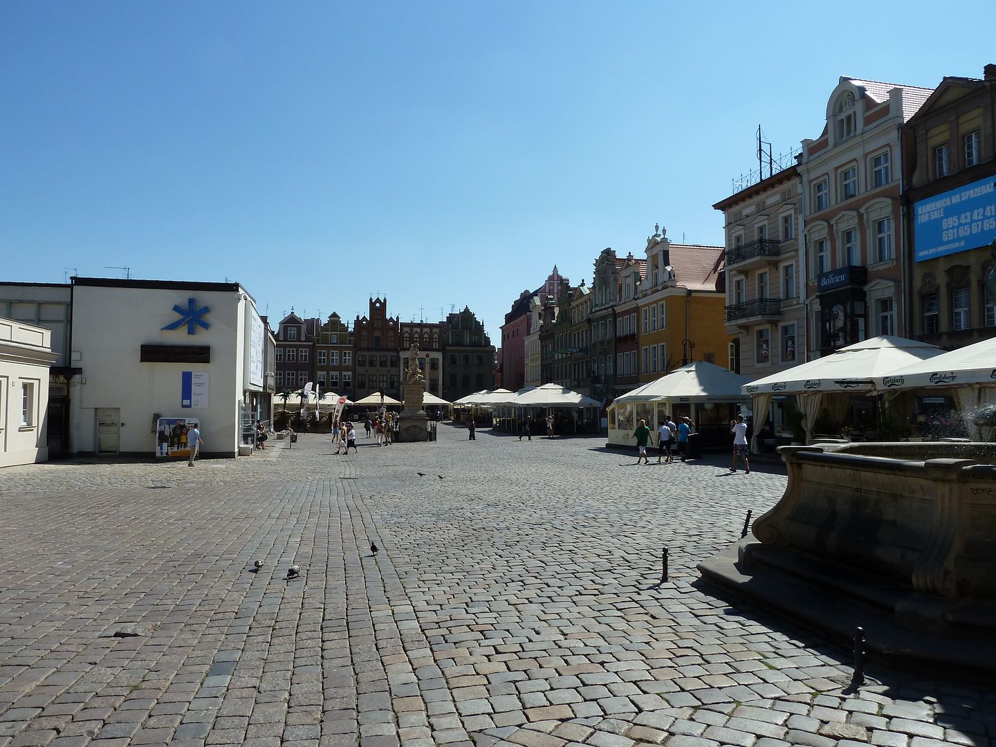 P1030519.jpg