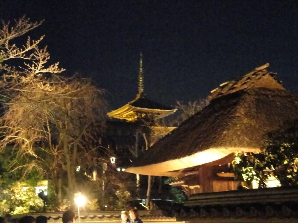 DSC01651.jpg