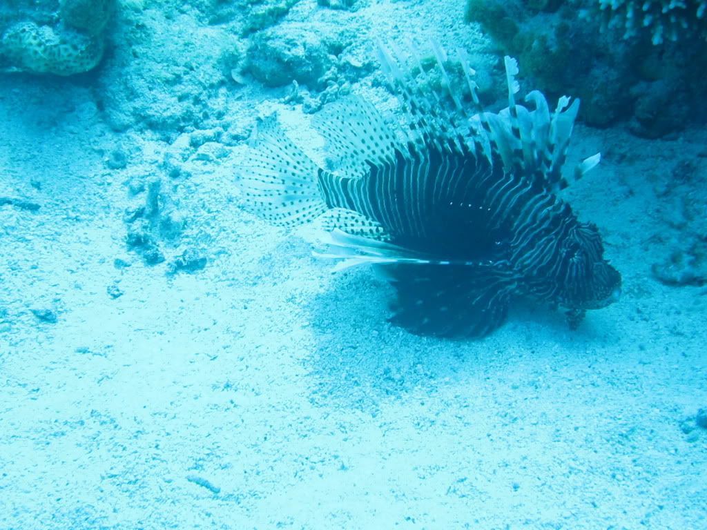 IMG_2261.jpg