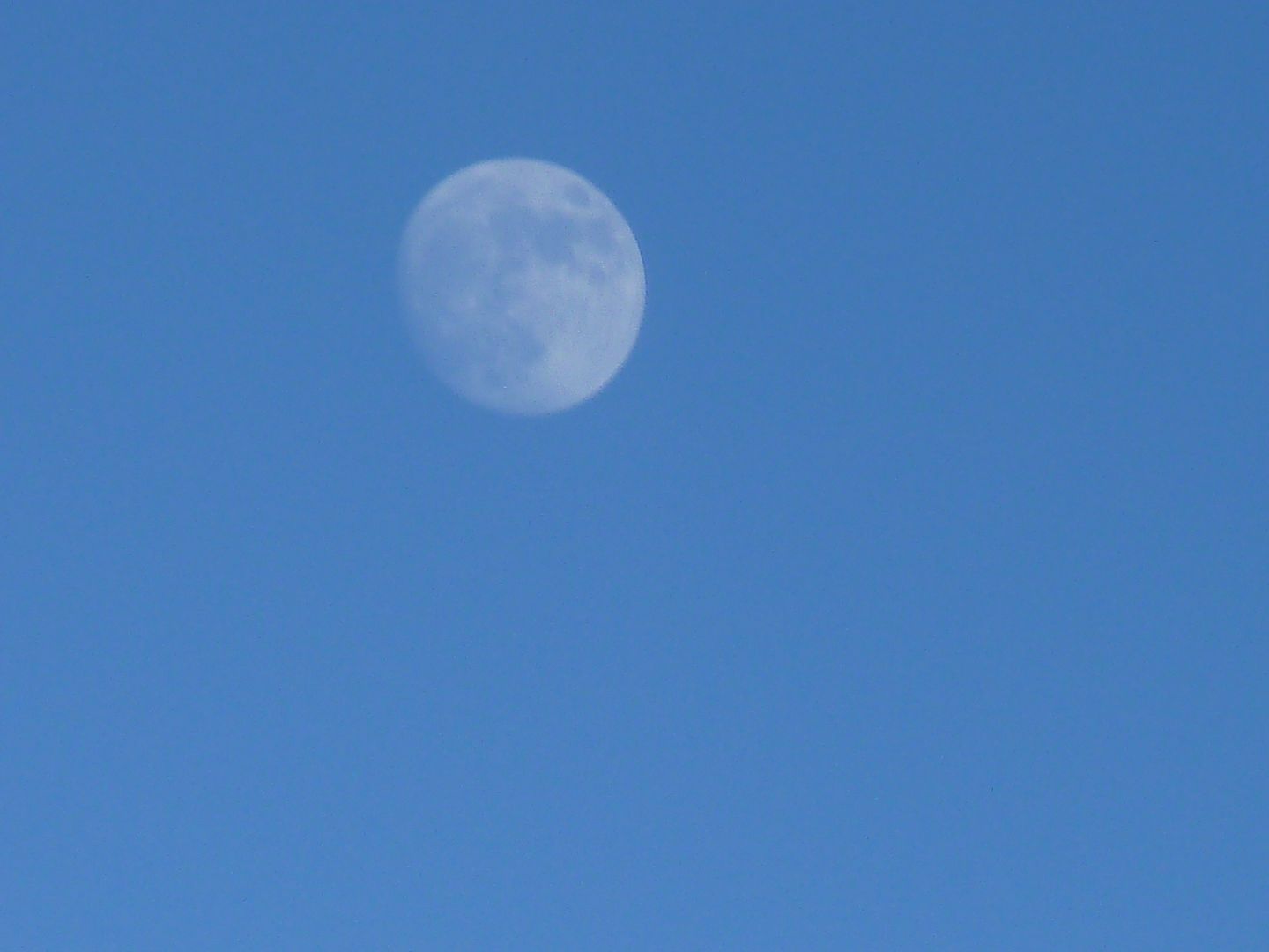 P1020540.jpg
