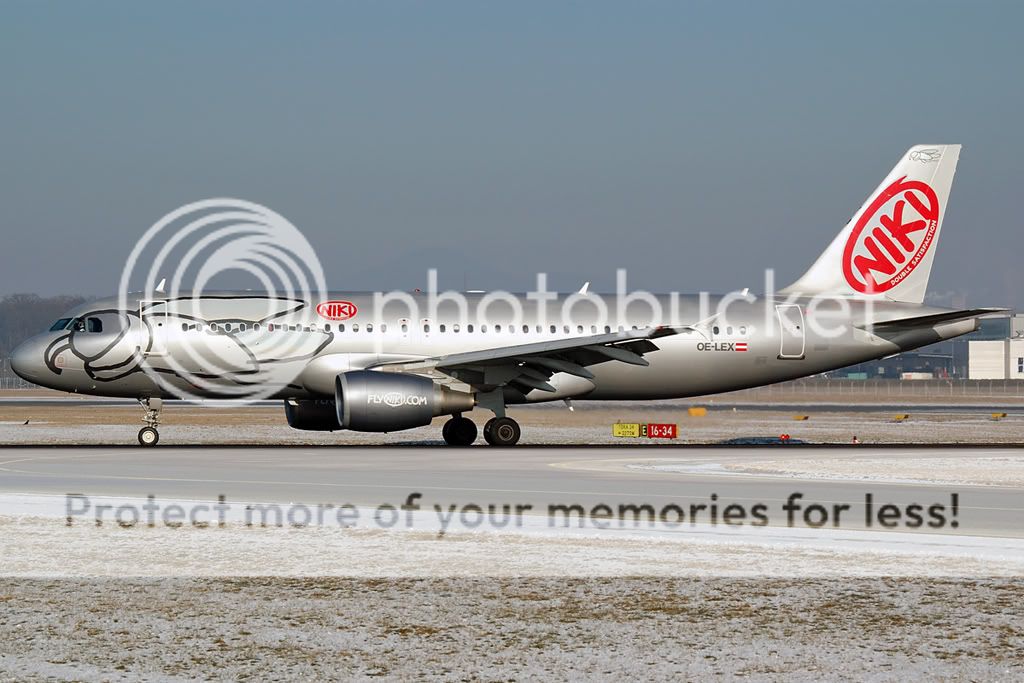 OE-LEX.jpg