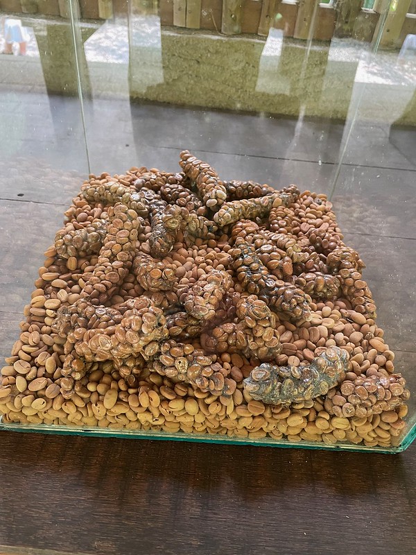 54299013596_792068083e_c.jpg