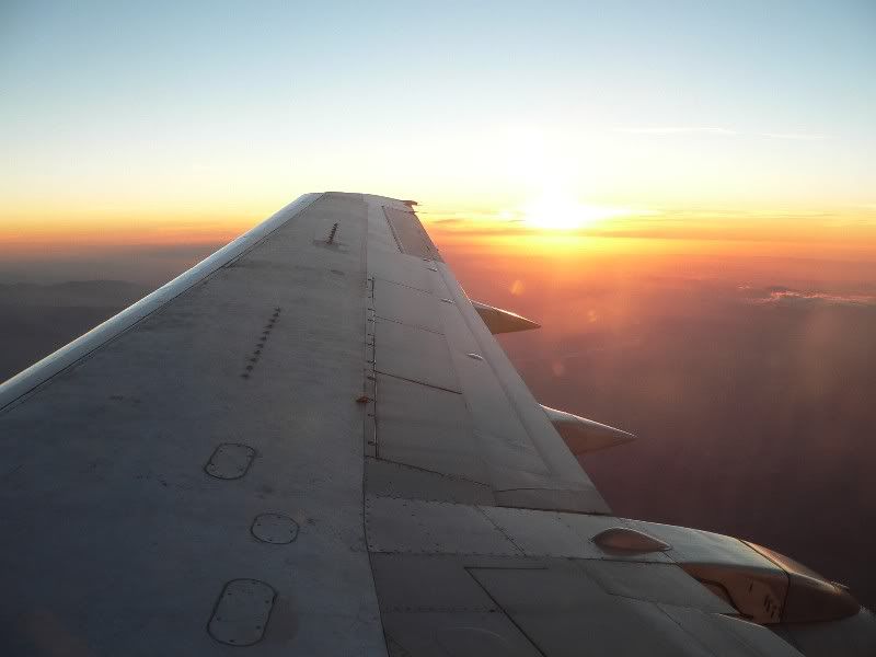 ala732.jpg