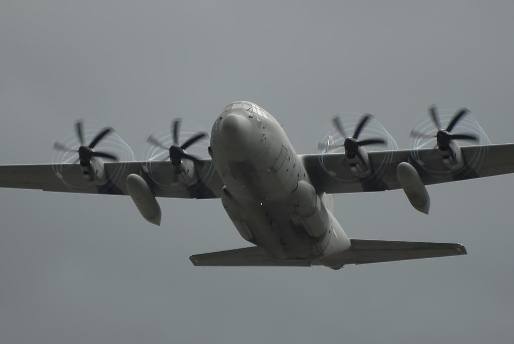 DSC_7992.jpg