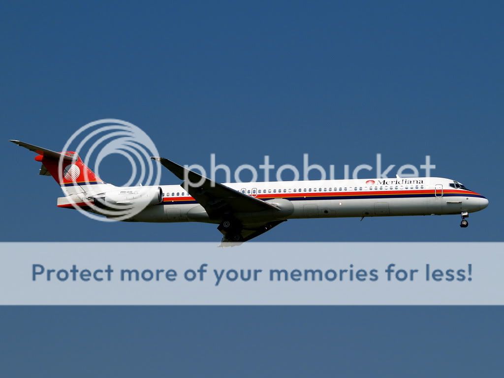 AM309617.jpg