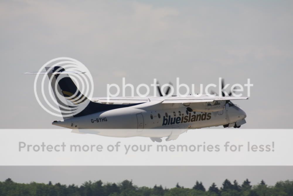 blu-4.jpg