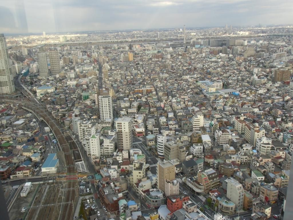 CIMG1054_zpsc1f01c1c.jpg