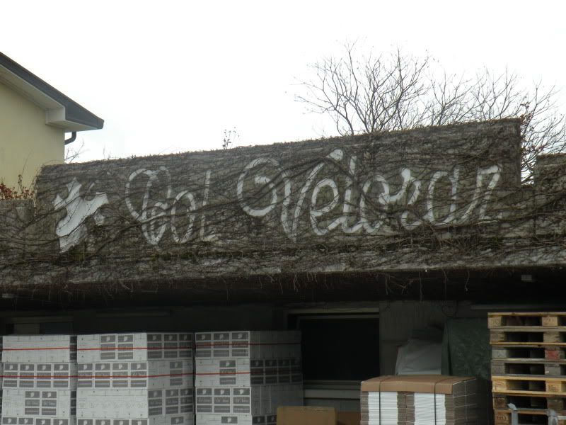 DSCN4489.jpg