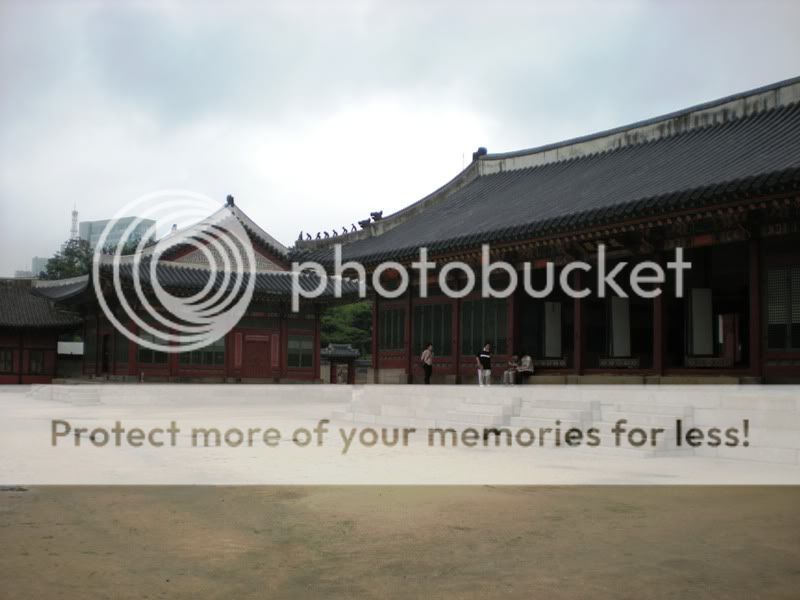 DSCN2667.jpg