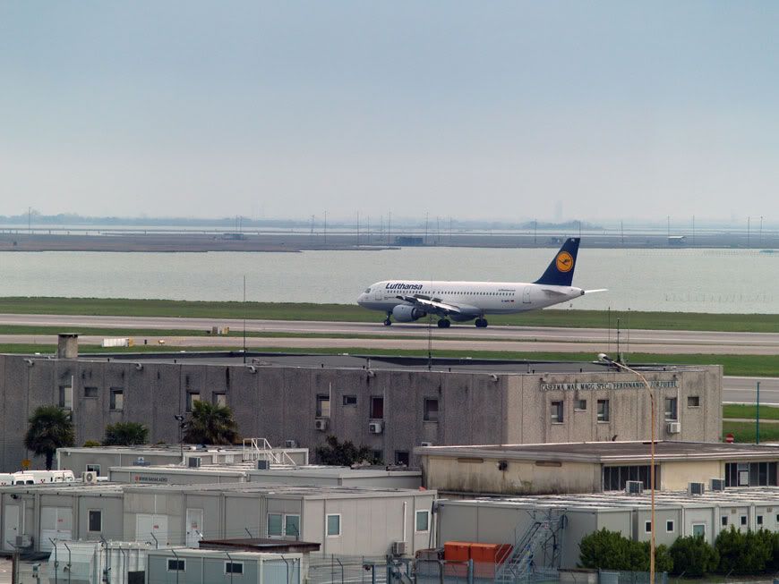 P1014564.jpg