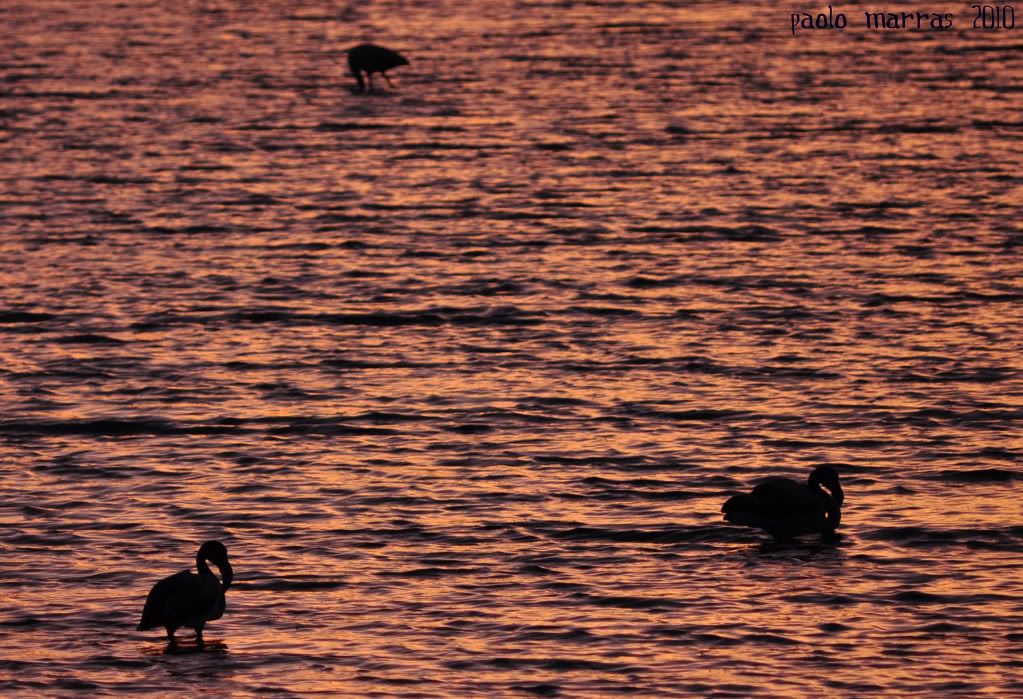 DSC_0218_picnik.jpg