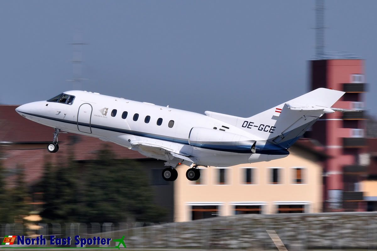 DSC_0356-Copia.jpg