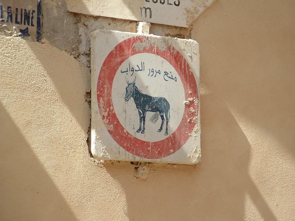 DSCF0523.jpg