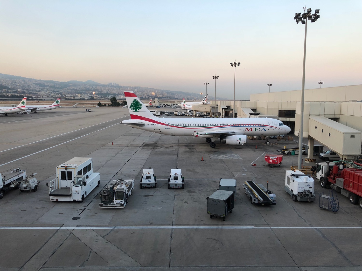 liveandletsfly.com