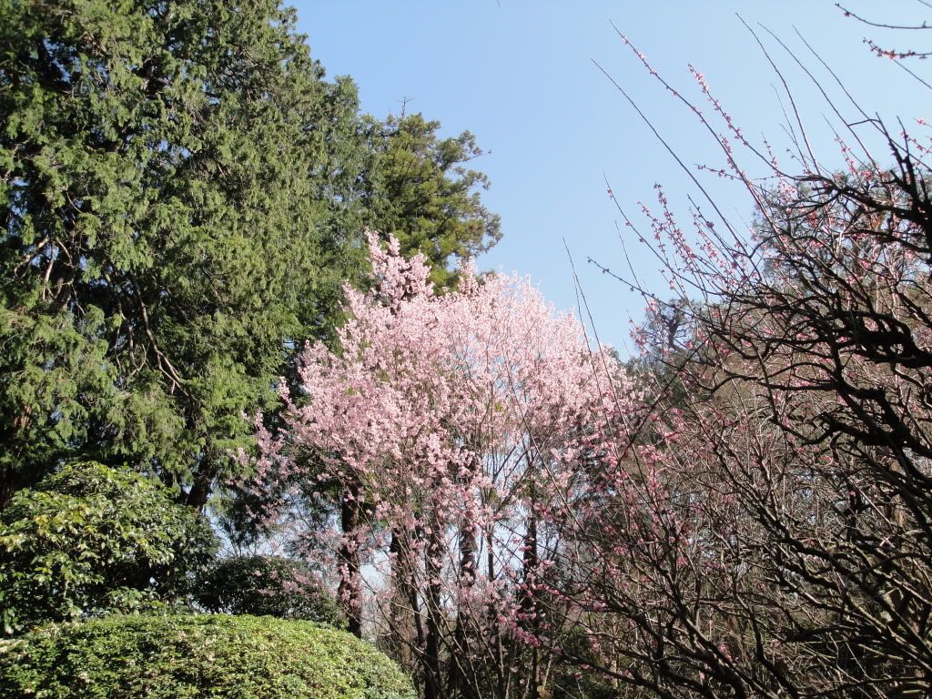 DSC01549.jpg